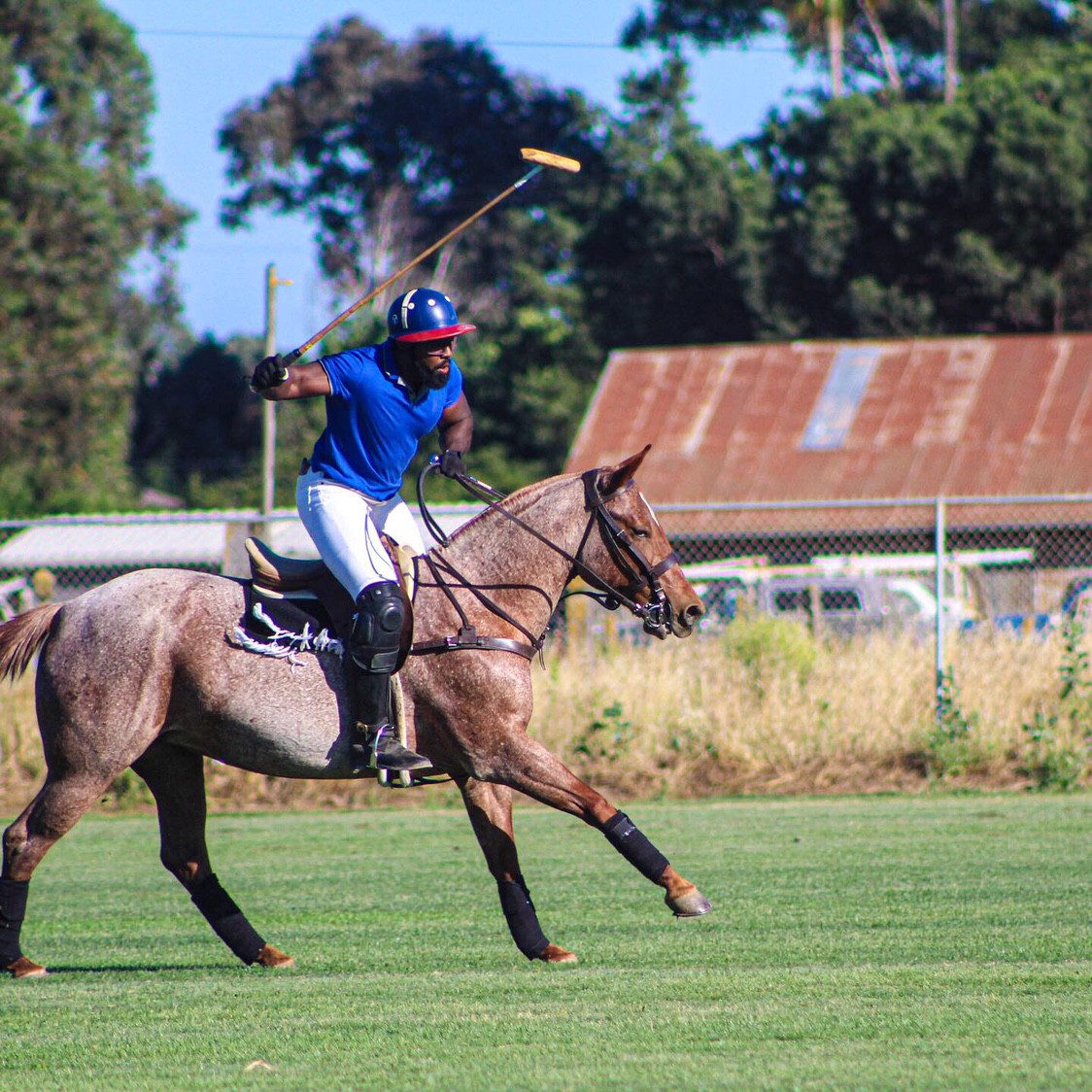 People playing polo outlet