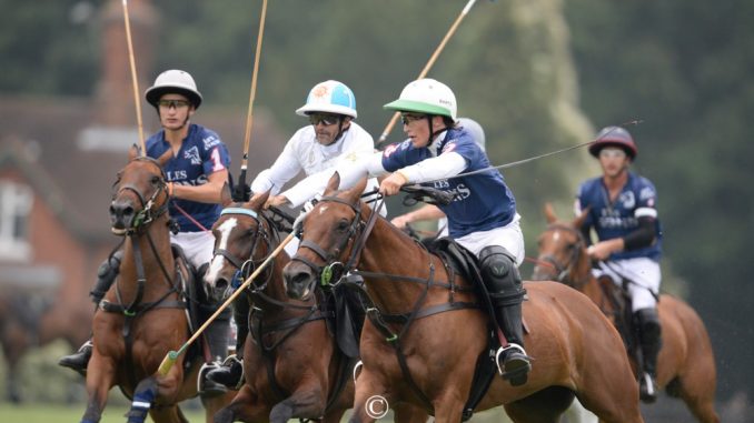 les lions polo