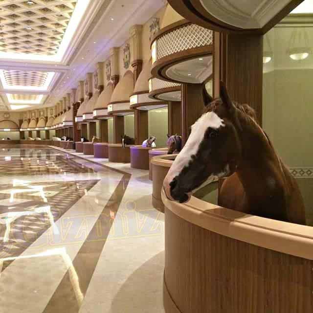 The most famous horse stables in Dubai | WPN