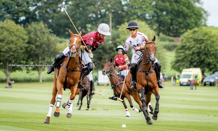 les lions polo
