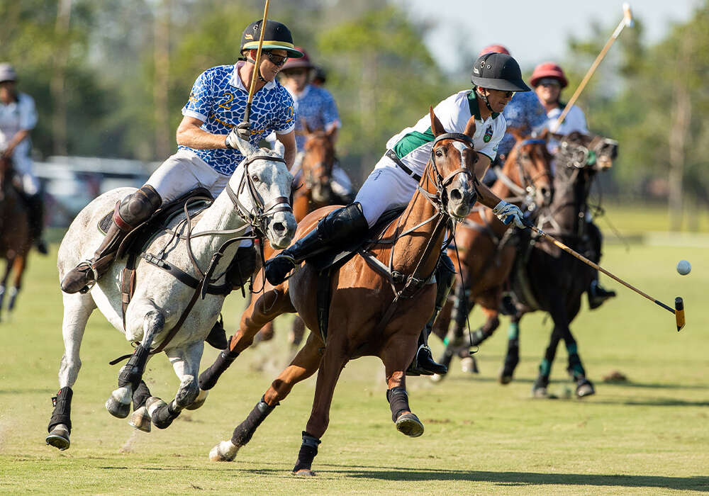 THE WELLINGTON POLO TOUR CELEBRATES A SUCCESSFUL FIRST YEAR - AN ARTICLE BY CLICKPOLOUSA | WPN