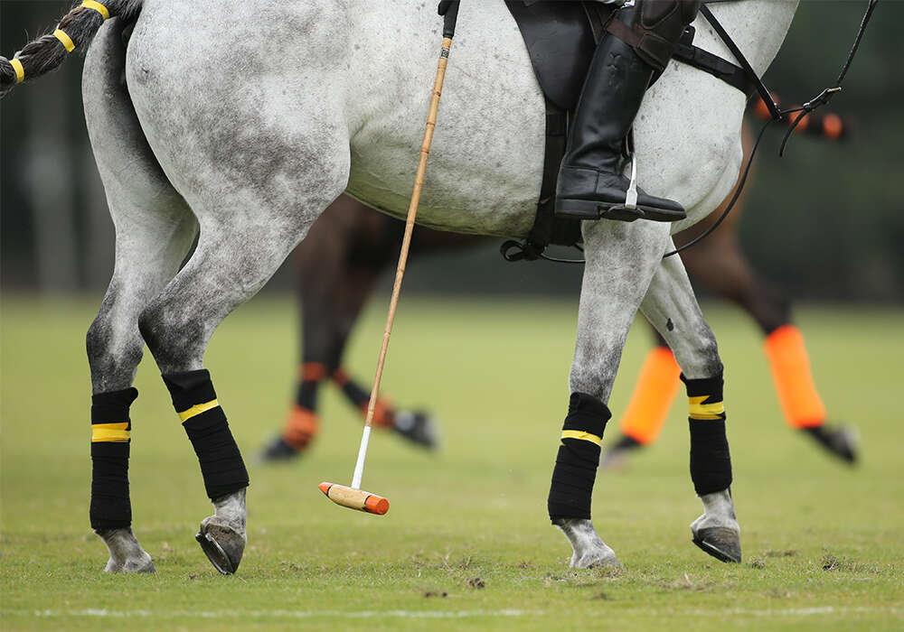 IS YOUR CLUB ENFORCING THE USPA RULES? WPN