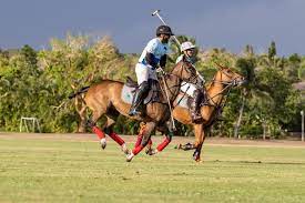 Casa de Campo Polo Challenge 2023: A Thrilling Season Comes to an Epic End | Casa de Campo Living